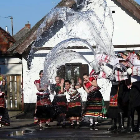 Fenyo Panzio Bed & Breakfast 3*