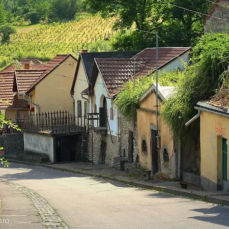 Fenyo Panzio 3* Mezőkövesd