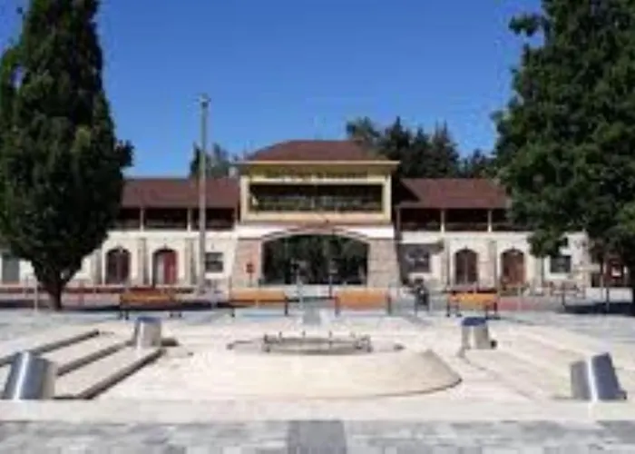 Fenyo Panzio