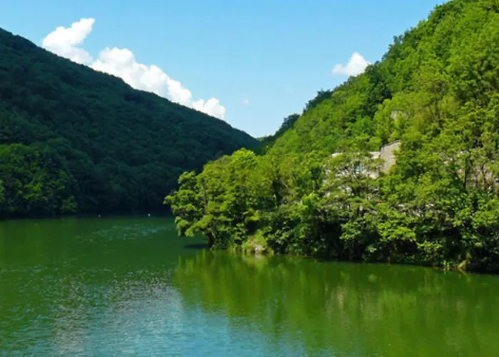 Fenyo Panzio Bed & Breakfast