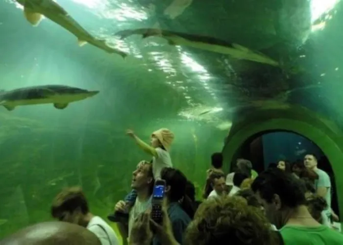 Fenyo Panzio 3* Mezokovesd