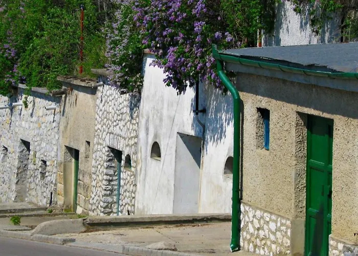 Fenyo Panzio