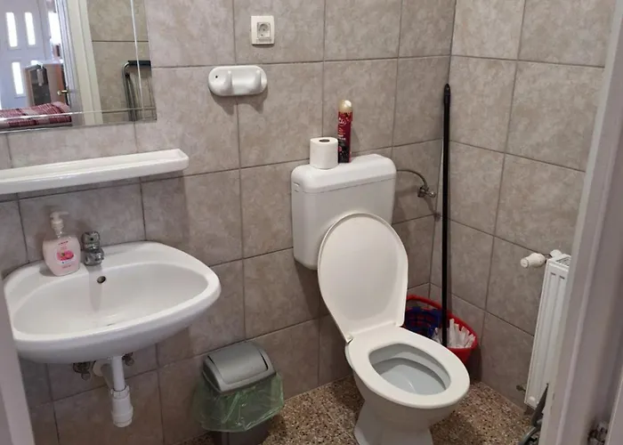 Fenyo Panzio Mezokovesd