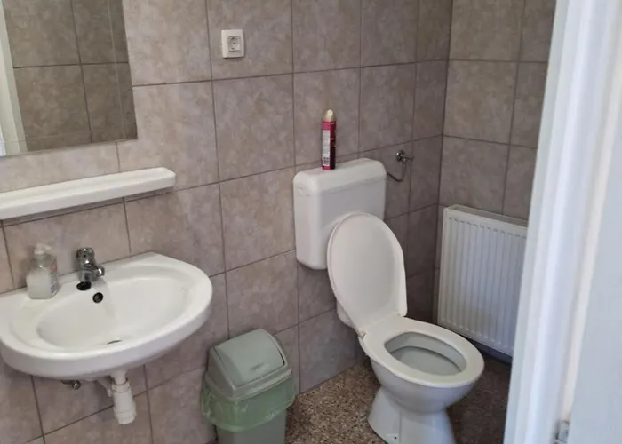 Fenyo Panzio 3* Mezokovesd