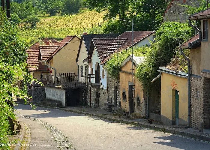 Fenyo Panzio 3* Mezokovesd